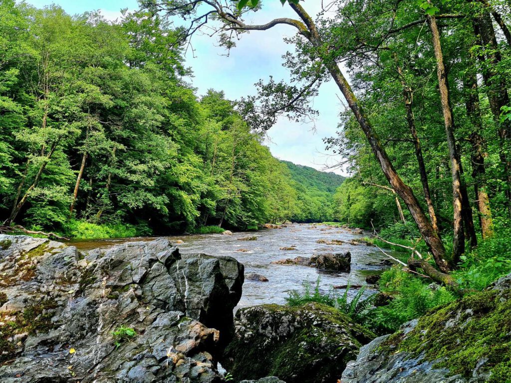 Am Ufer der Amblève