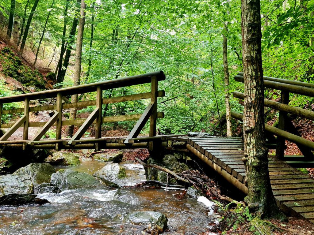 Holzbrücken am Ninglinspo und Chefna